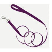 Coastal Single-Ply Nylon Dog Leash Purple 5-8 in x 6 ft