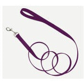 Coastal Single-Ply Nylon Dog Leash Purple 3-4 in x 4 ft